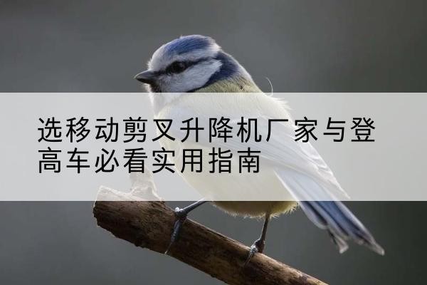 武平电动升降机厂家-选移动剪叉升降机厂家与登高车必看实用指南