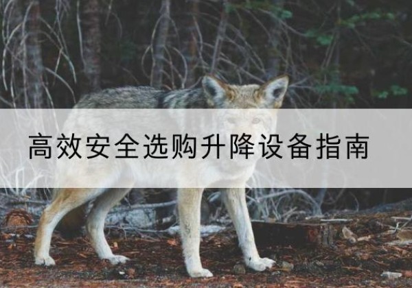 武平升降货梯厂家推荐-*安全选购升降设备指南