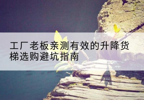 武平升降货梯怎么选-工厂老板亲测有效的升降货梯选购避坑指南